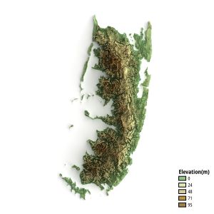 펨바 섬의 표고