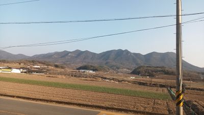 의성군에 위치한 금성산 칼데라의 모습. 금성산 일대에는 북서 60° 주향의 가음 단층과 금천 단층이 통과해 칼데라의 화산암을 절단하고 있다.