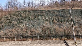 황금동과 범물동을 잇는 청호로 고갯길에 약 200 m 에 걸쳐 드러난 반야월층의 노두로 남남동쪽으로 약간 기울어 있다.