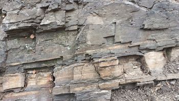 수성못 부근, 두산오거리 남쪽에 드러난 반야월층 노두. 수성구 두산동 614-1