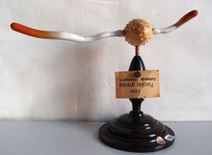 19세기 후반의 Puccinia graminis의 발아하는 여름포자 모형, 그라이프스발트 식물학 박물관