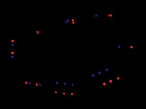 담자균문의 생활 주기