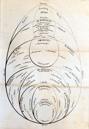 골드푸스의 생물계 분류 체계. 원생동물을 동물계에 포함시켰다.