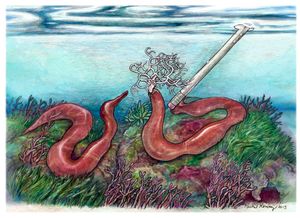 Gorgonorhynchus repens, 무침강(Anopla)에 속하는 종으로, 점착성이 있는 가지 모양의 촉수를 방출한다.