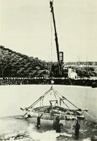 씨월드로 옮겨진 새끼 귀신고래 '기기'