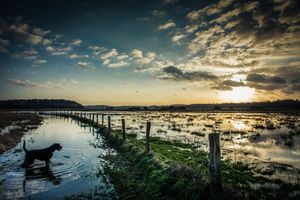 독일 아히터베어의 저지대 들판이 인근 수로의 범람으로 침수되었다.
