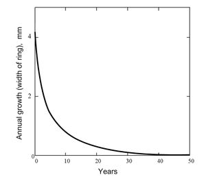 수목 연륜 폭 함수의 전형적인 형태(연륜연대학 방정식에 따름)