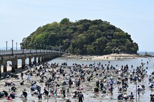 다케시마에서의 조개잡이 모습