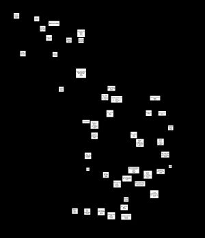 네덜란드 교회 역사