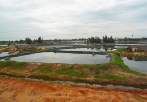 칭마이의 양식장