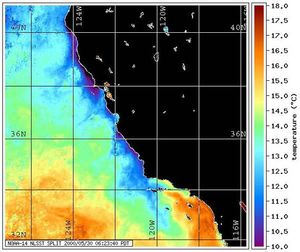 캘리포니아 해안에서 일어나는 용승 과정은 더 차갑고 영양이 풍부한 물을 표면으로 가져온다.