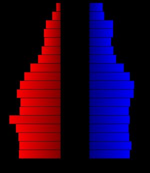 포츠머스의 연령 분포