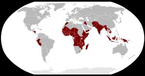 보건 인력이 심각하게 부족한 국가들