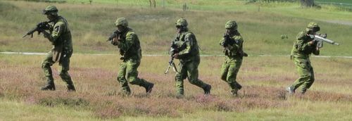 스웨덴 군인들의 훈련