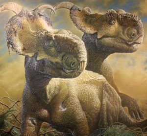 P. perotorum 두 마리의 복원된 모습