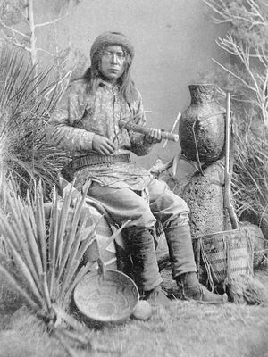 1886년 웜 스프링스 아파치족(Warm Springs Apache) 음악가 차시(Chasi)가 아파치 피들을 연주하는 모습