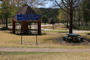 와이넷은 미시시피주 이타완바 카운티에서 태어나 대부분의 시간을 보냈으며, 트레몬트에서 고등학교를 다녔다.