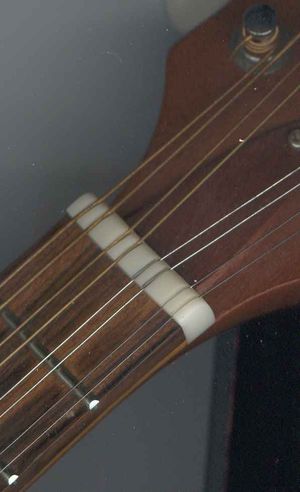 맨돌린 너트(윗쪽 턱) 부분