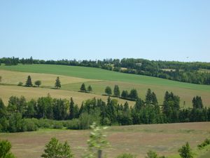 섬의 풍경은 목가적이며, 나무가 우거진 지역과 구릉이 있다.