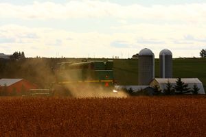 콩밭에서 수확 작업을 하는 콤바인. 농업은 여전히 주 경제의 주요 부분을 차지한다.