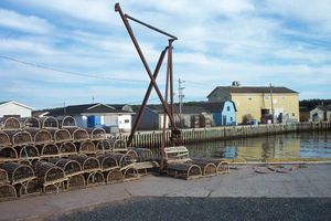 노프라주 항구의 가재 통발. 가재잡이는 해안 지역 사회의 주요 경제 부문으로 남아 있다.