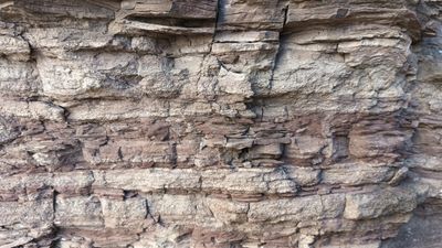 중구 건들바위를 가까이서 본 모습이다. 적색층과 백색층이 교대로 나타난다.