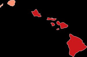 섬 별 하와이의 코로나 확진 지도