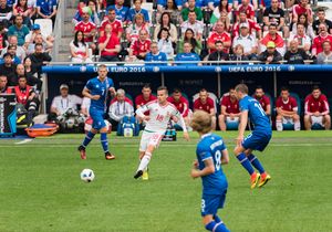 UEFA 유로 2016 조별 경기에서 아이슬란드와 헝가리 경기에 출전한 슈티에베르