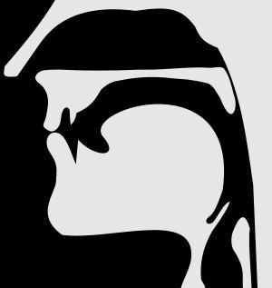 무성 양순 파열음