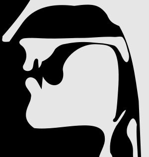 무성 연구개 파열음