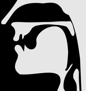 무성 연구개 마찰음 (x)