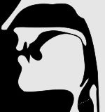 연구개 비음의 조음 위치