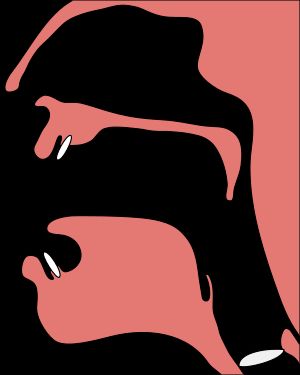 조음 위치. 치경음은 4에 해당