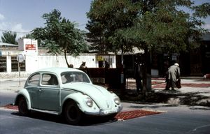 1977년 헤라트의 아프간 카펫