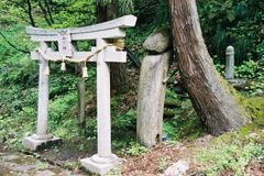 니가타현의 신사