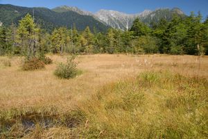 타시로 습지 공원