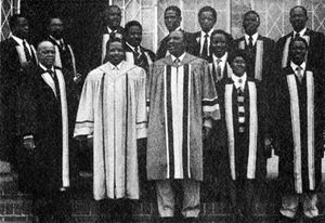 딥미도우 타운 의회, 그레이터 소웨토