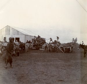 피에터스부르크 수용소 (1901)