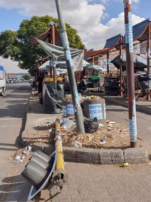 이러한 광경은 도시의 거의 모든 지역에서 흔히 볼 수 있다