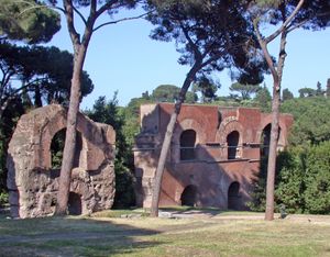 체리우스 언덕과 팔라티누스 언덕 근처의 아르쿠스 네리오니아니(Arcus Nerioniani)