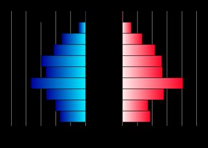 연령별 성별 분포