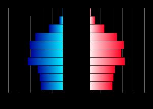 보네르섬의 연령별 성비 피라미드 (2023년)