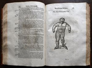 몬스트로룸 히스토리아}}