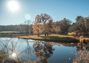 운동장 일부가 보이는 파라다이스 연못