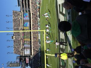 2015 NFL 시즌 10주차 경기에서 마이애미 돌핀스가 링컨 파이낸셜 필드를 방문하여 필라델피아 이글스와 경기하는 모습