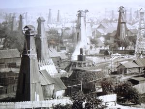 보리슬라프의 유정