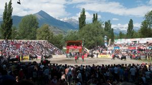 국가 소싸움 대회(Combat de Reines) 결승전에 모인 사람들