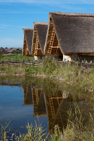 바우빌러무스의 말뚝집 재현