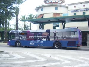 메리언 교통센터에 있는 HARTLine 버스