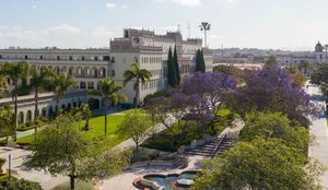 샌디에이고 대학교